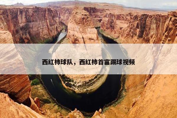 西红柿球队，西红柿首富踢球视频