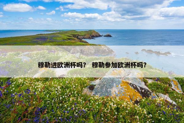穆勒进欧洲杯吗？ 穆勒参加欧洲杯吗？