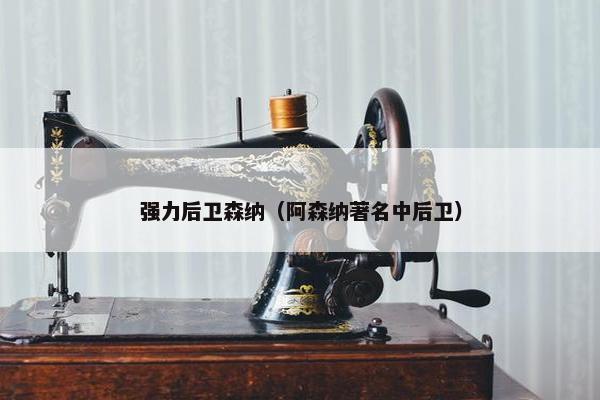 强力后卫森纳（阿森纳著名中后卫）