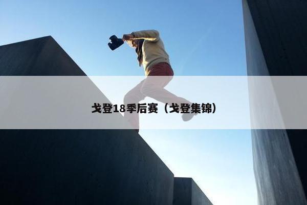 戈登18季后赛（戈登集锦）