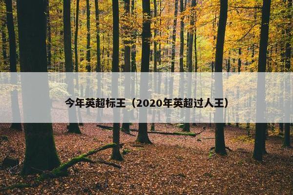 今年英超标王（2020年英超过人王）