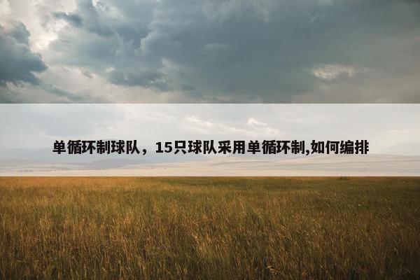 单循环制球队，15只球队采用单循环制,如何编排