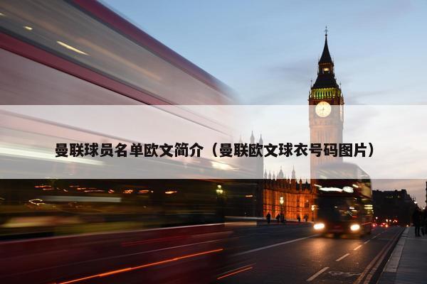 曼联球员名单欧文简介（曼联欧文球衣号码图片）