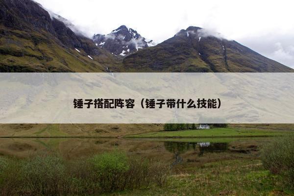 锤子搭配阵容（锤子带什么技能）