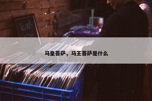 马皇菩萨，马王菩萨是什么