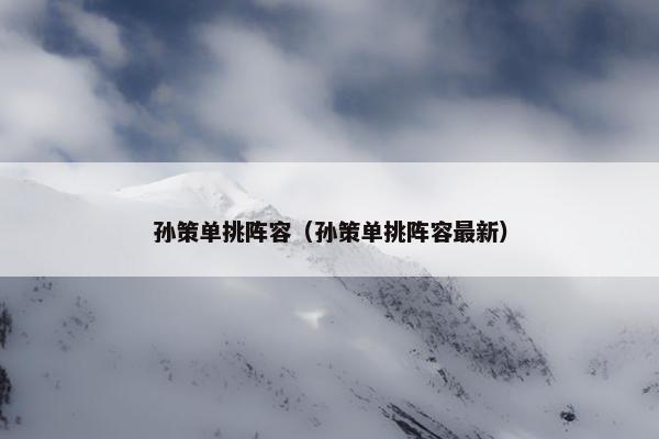 孙策单挑阵容（孙策单挑阵容最新）