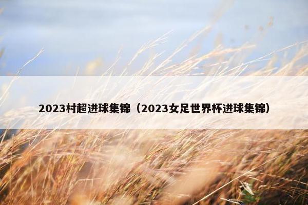 2023村超进球集锦（2023女足世界杯进球集锦）