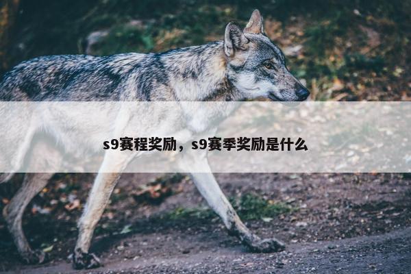 s9赛程奖励，s9赛季奖励是什么
