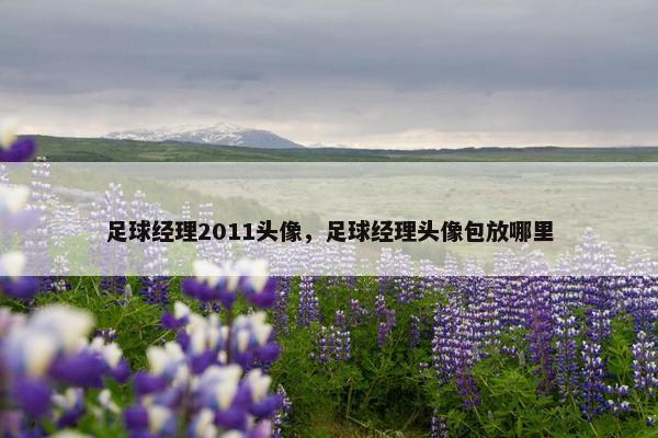 足球经理2011头像，足球经理头像包放哪里