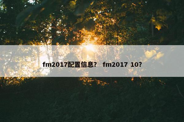fm2017配置信息？ fm2017 10？