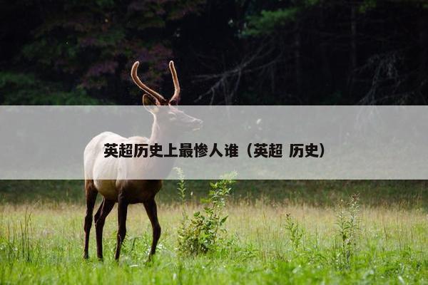 英超历史上最惨人谁（英超 历史）