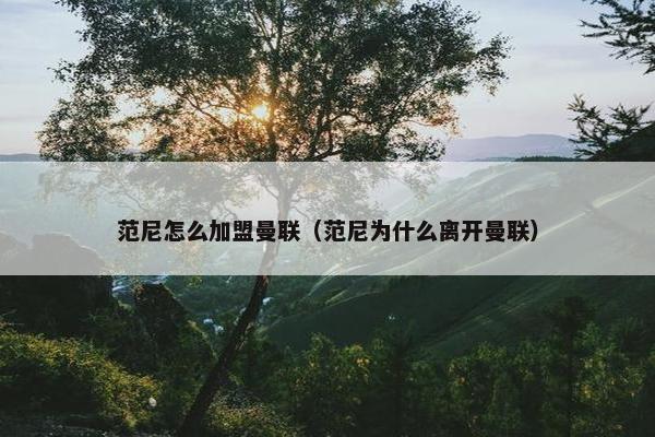 范尼怎么加盟曼联（范尼为什么离开曼联）