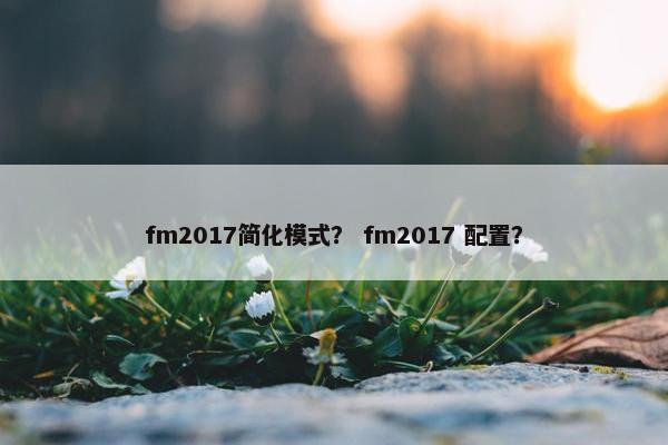 fm2017简化模式？ fm2017 配置？