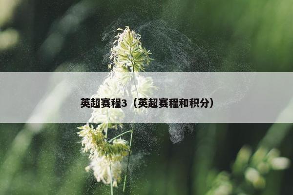 英超赛程3（英超赛程和积分）