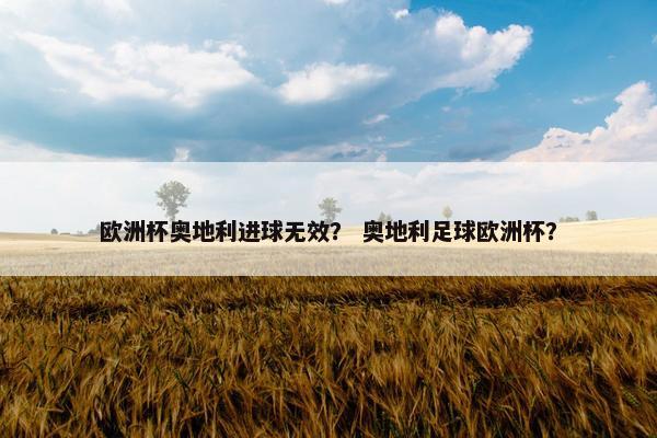欧洲杯奥地利进球无效？ 奥地利足球欧洲杯？