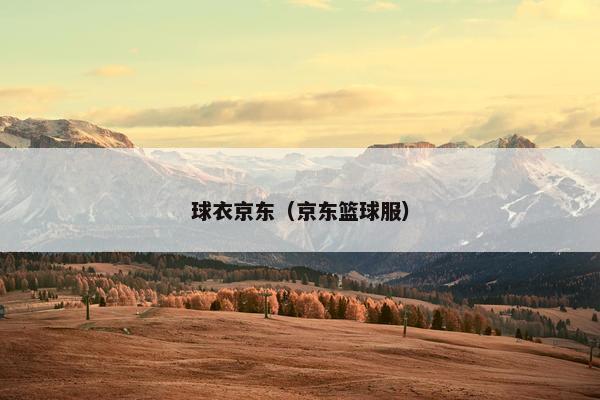 球衣京东（京东篮球服）