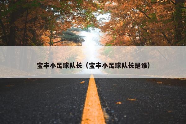 宝丰小足球队长（宝丰小足球队长是谁）
