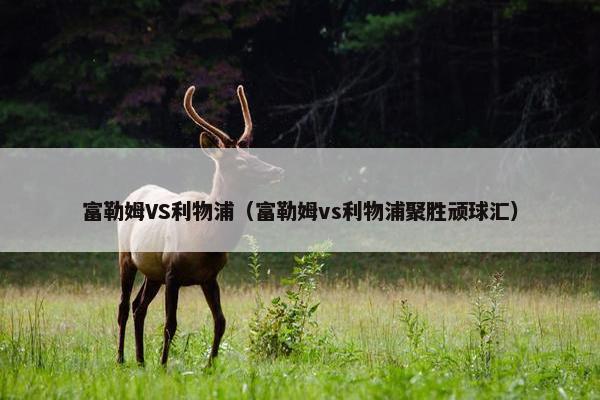 富勒姆VS利物浦（富勒姆vs利物浦聚胜顽球汇）