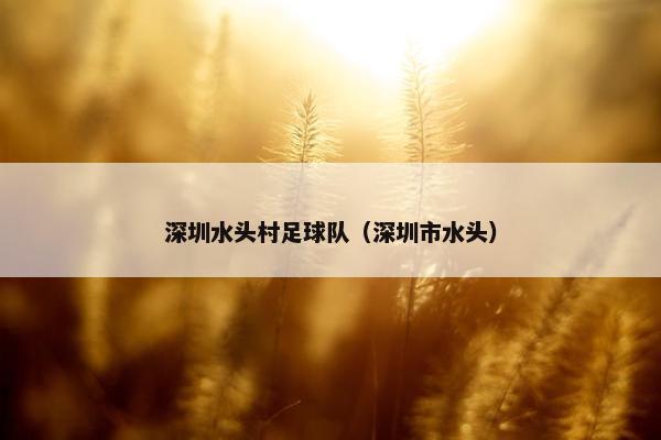 深圳水头村足球队（深圳市水头）