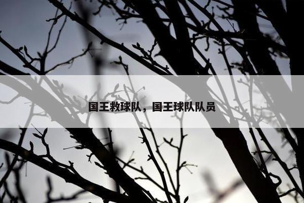国王救球队，国王球队队员