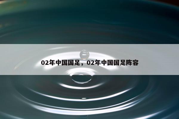 02年中国国足，02年中国国足阵容