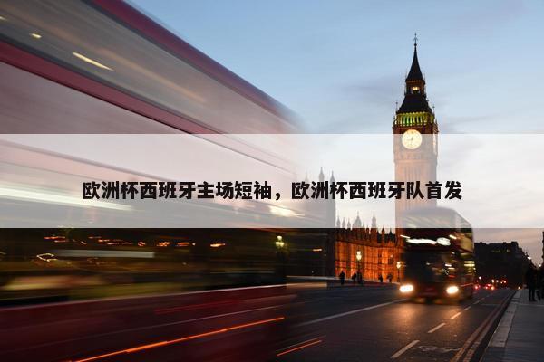 欧洲杯西班牙主场短袖，欧洲杯西班牙队首发