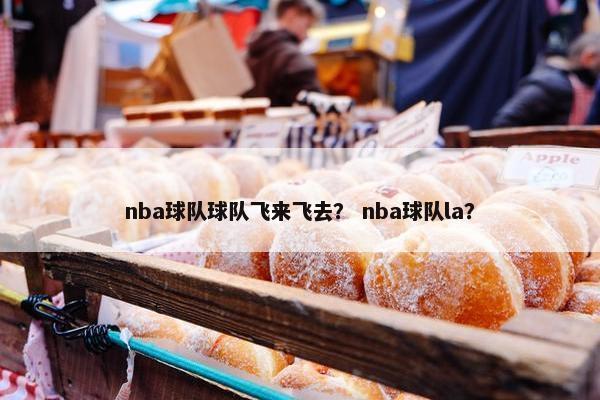 nba球队球队飞来飞去？ nba球队la？