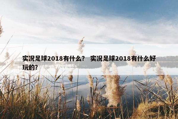 实况足球2018有什么？ 实况足球2018有什么好玩的？
