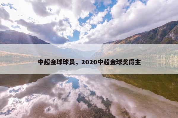 中超金球球员，2020中超金球奖得主