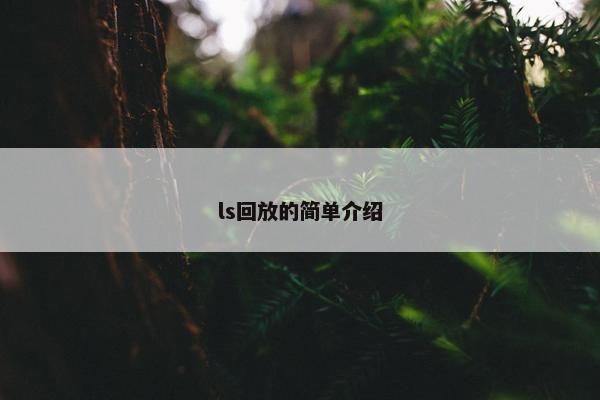 ls回放的简单介绍