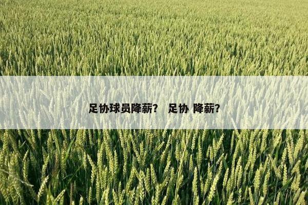 足协球员降薪？ 足协 降薪？