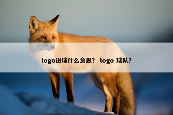 logo进球什么意思？ logo 球队？