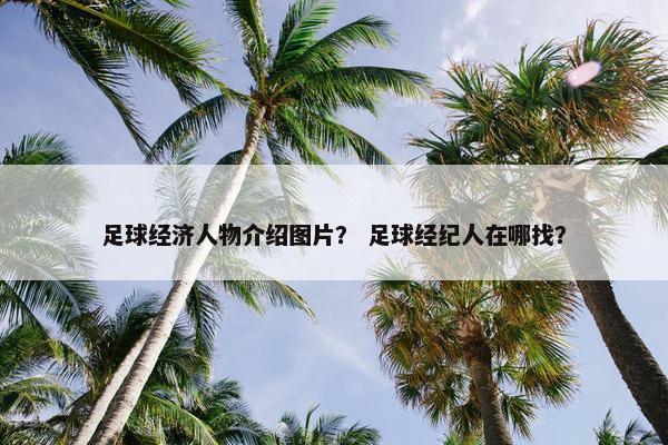 足球经济人物介绍图片？ 足球经纪人在哪找？