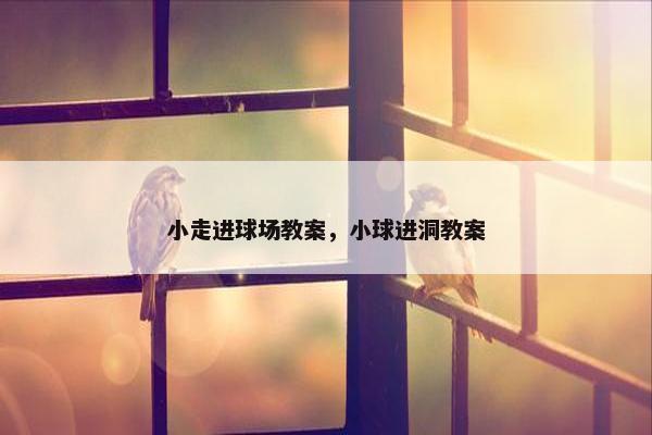 小走进球场教案，小球进洞教案