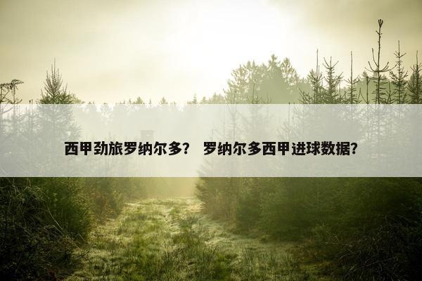 西甲劲旅罗纳尔多？ 罗纳尔多西甲进球数据？