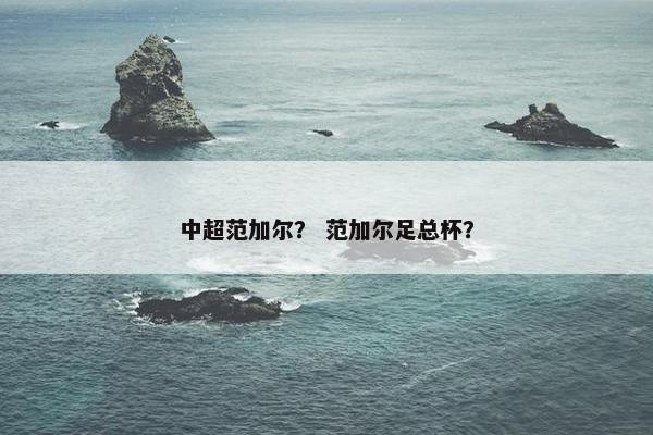 中超范加尔？ 范加尔足总杯？