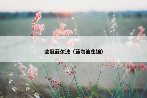 欧冠菲尔波（菲尔波集锦）