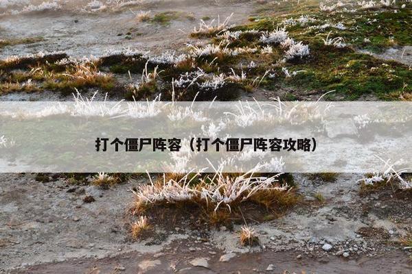 打个僵尸阵容（打个僵尸阵容攻略）