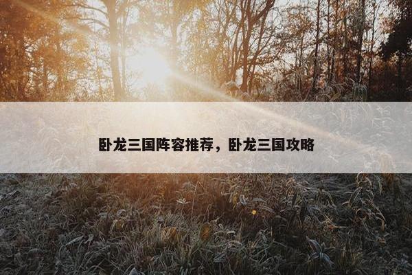 卧龙三国阵容推荐，卧龙三国攻略