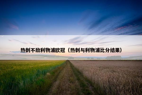 热刺不敌利物浦欧冠（热刺与利物浦比分结果）