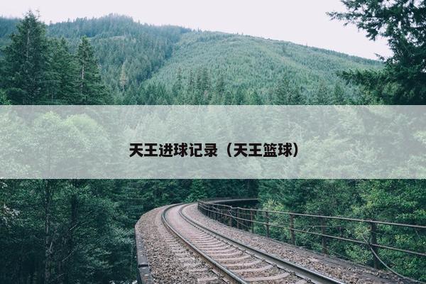天王进球记录（天王篮球）