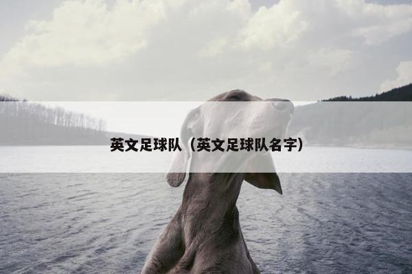 英文足球队（英文足球队名字）