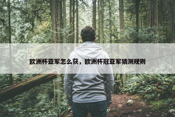 欧洲杯亚军怎么获，欧洲杯冠亚军猜测规则