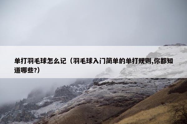 单打羽毛球怎么记（羽毛球入门简单的单打规则,你都知道哪些?）