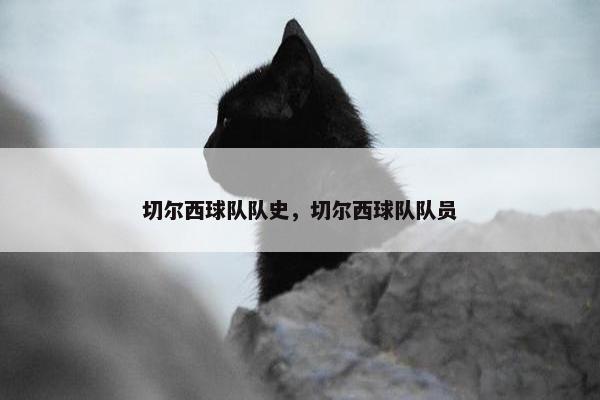 切尔西球队队史，切尔西球队队员