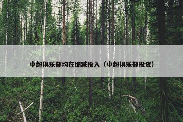中超俱乐部均在缩减投入（中超俱乐部投资）