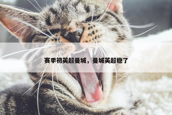 赛季初英超曼城，曼城英超稳了