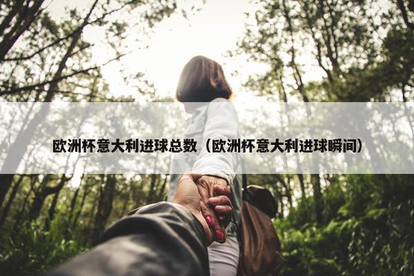 欧洲杯意大利进球总数（欧洲杯意大利进球瞬间）