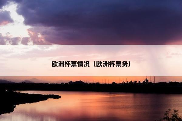 欧洲杯票情况（欧洲杯票务）