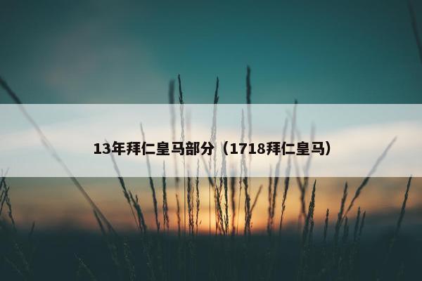 13年拜仁皇马部分（1718拜仁皇马）